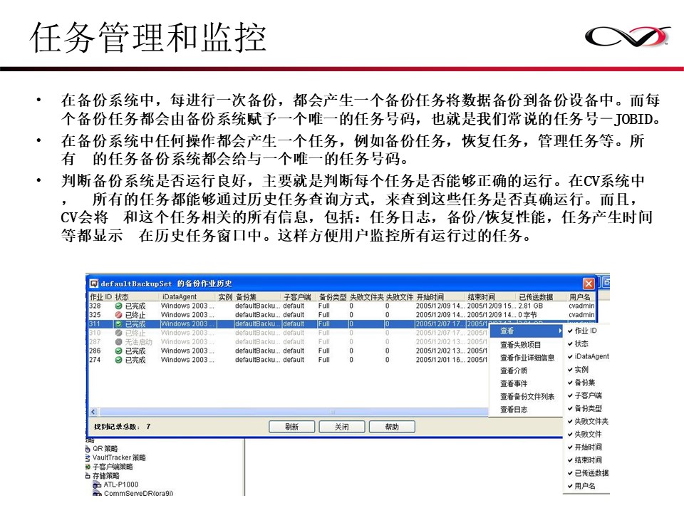 CommVault备份解决方案Galaxy备份介绍(图51)